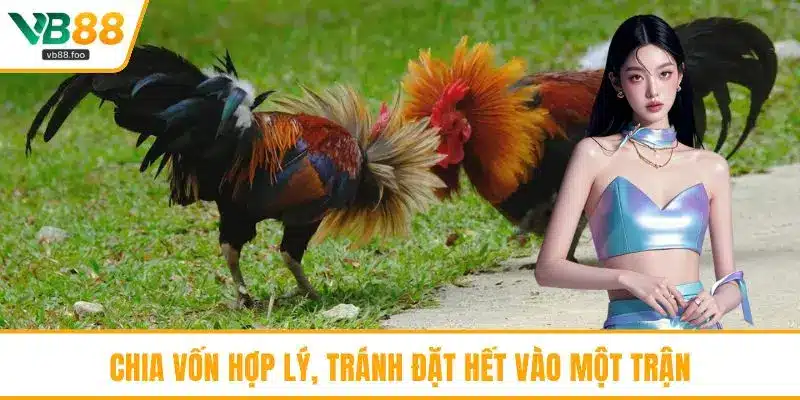 Chia vốn hợp lý, tránh đặt hết vào một trận