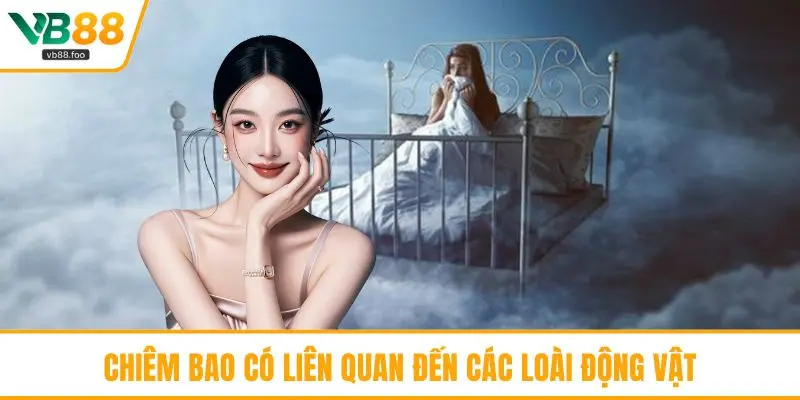 Chiêm bao có liên quan đến các loài động vật