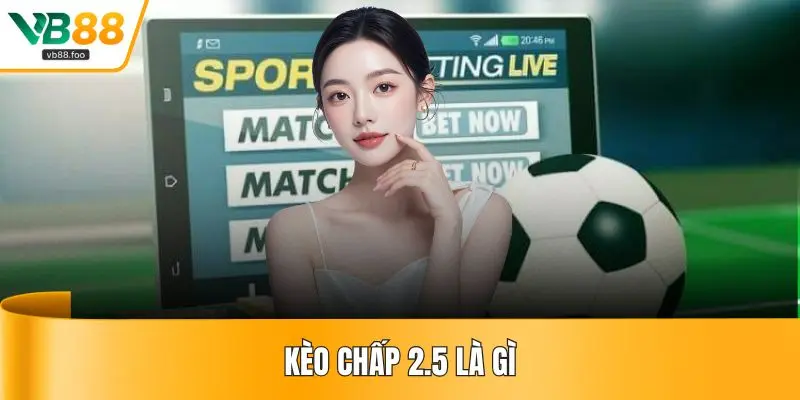 Kèo Chấp 2.5 Là Gì - Hướng Dẫn Cược Thắng Dễ Dàng Nhất