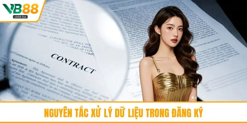 Nguyên tắc xử lý dữ liệu trong đăng ký